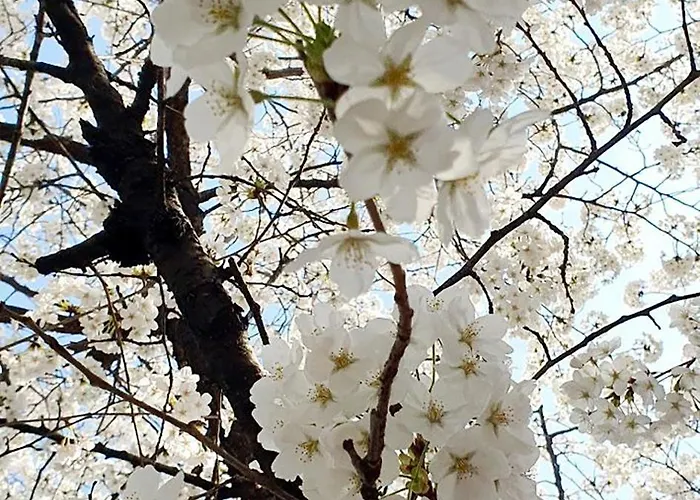 Hongik Sinchon Sirince 아파트