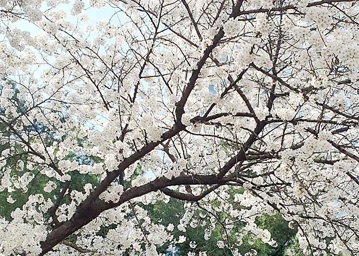Hongik Sinchon Sirince 아파트 *